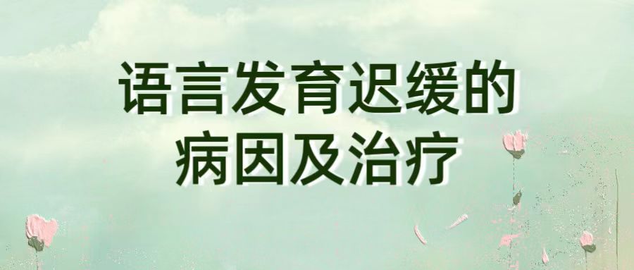 语言发育迟缓的病因及治疗