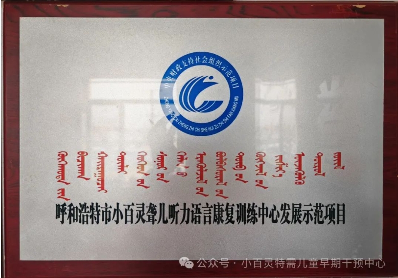 荣誉资质
