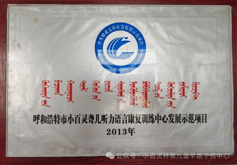 荣誉资质