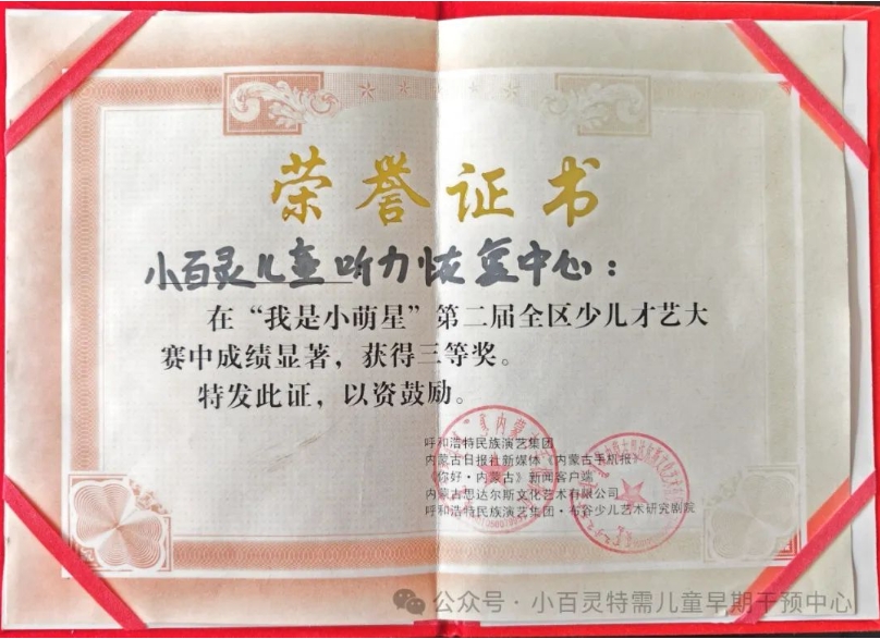 荣誉资质