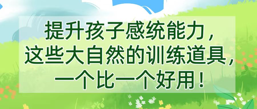 提升孩子感统能力，这些大自然的训练道具，一个比一个好用！