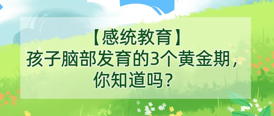 【感统教育】孩子脑部发育的3个黄金期你知道吗？