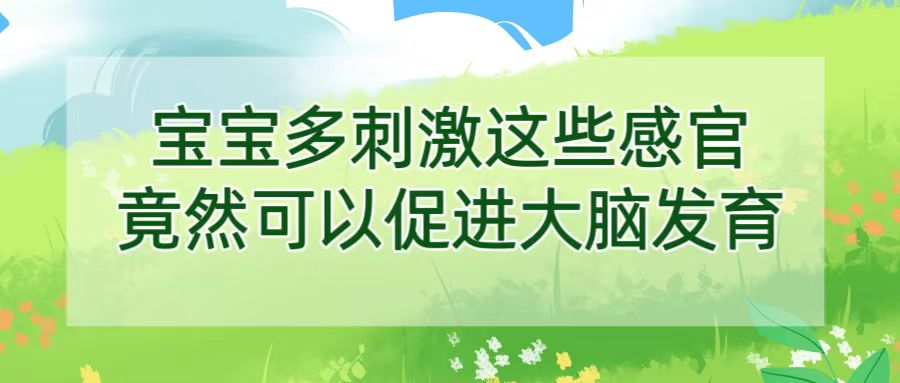 宝宝多刺激这些感官竟然可以促进大脑发育