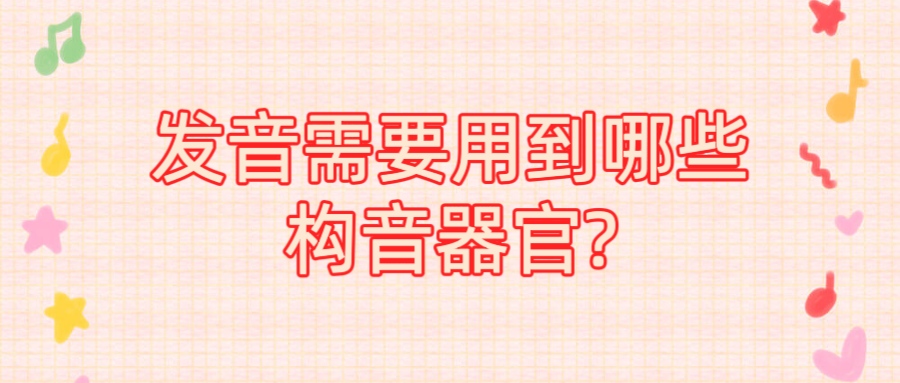 发音需要用到哪些构音器官?