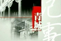 青城记事第二部爱筑小百灵